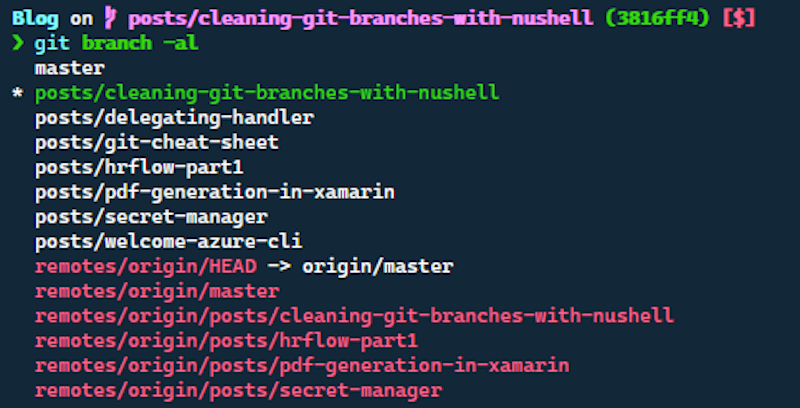 List all git branches in the terminal.