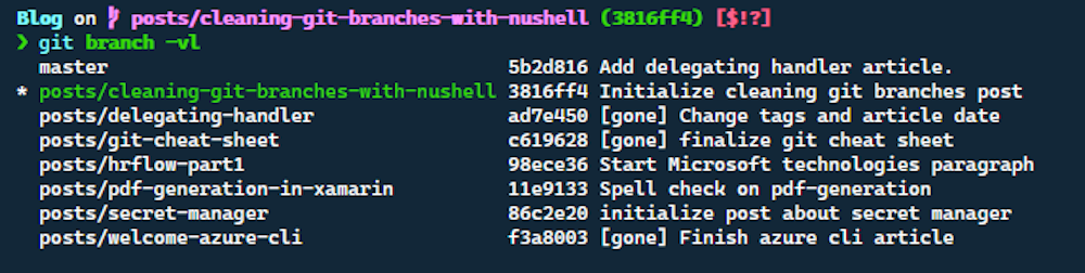 List all git branches with verbose tag in terminal.
