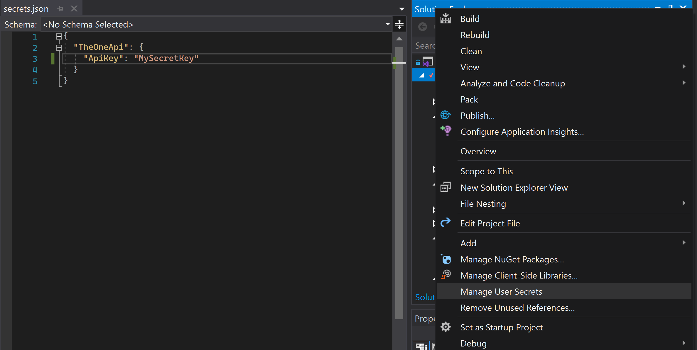 Secrets.json file and option to generate it in Visual Studio.