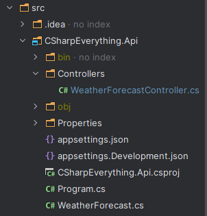 IDE folder explorer of an ASP.NET Core API template.